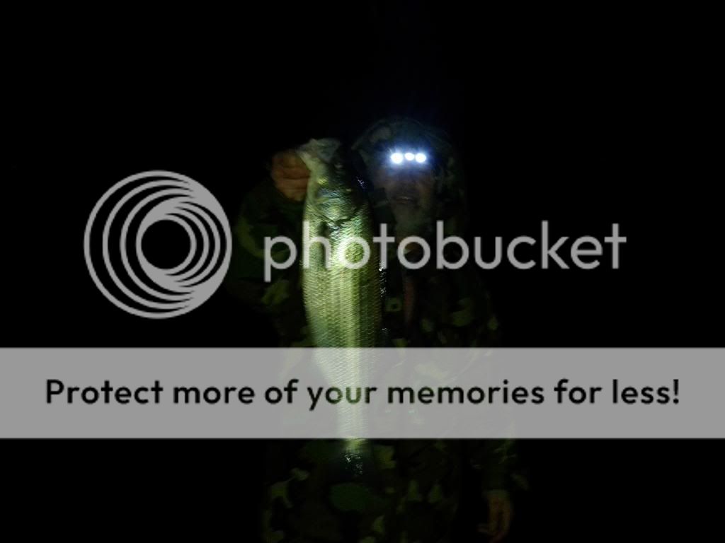 Lake Cumberland short trip, Nov. 1516 Striped Bass Fishing Forums Forum